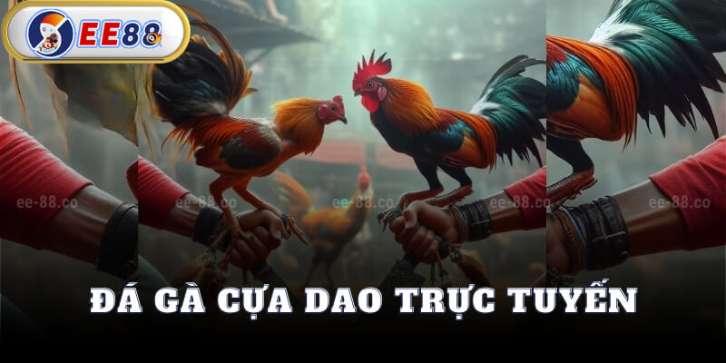 Đá Gà Cựa Dao Trực Tuyến