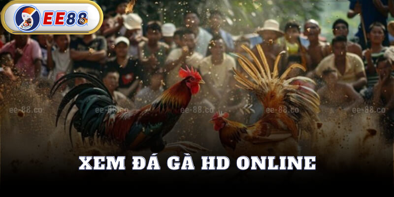 Xem Đá Gà HD Online