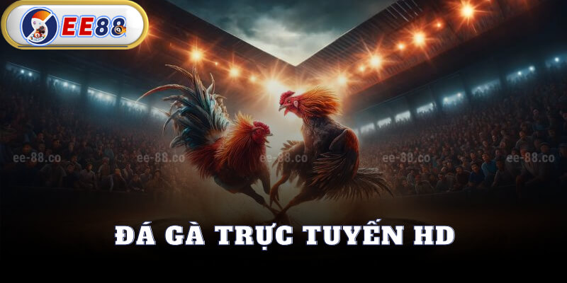 Đá Gà Trực Tuyến HD