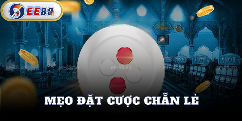 Mẹo Đặt Cược Chẵn Lẻ