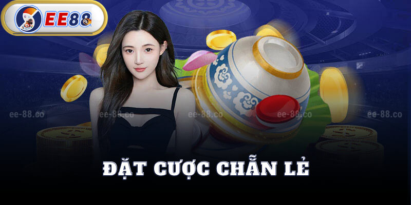 Hướng Dẫn Đặt Cược Chẵn Lẻ